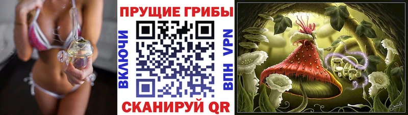 купить закладку  Тюкалинск  Галлюциногенные грибы Psilocybe 